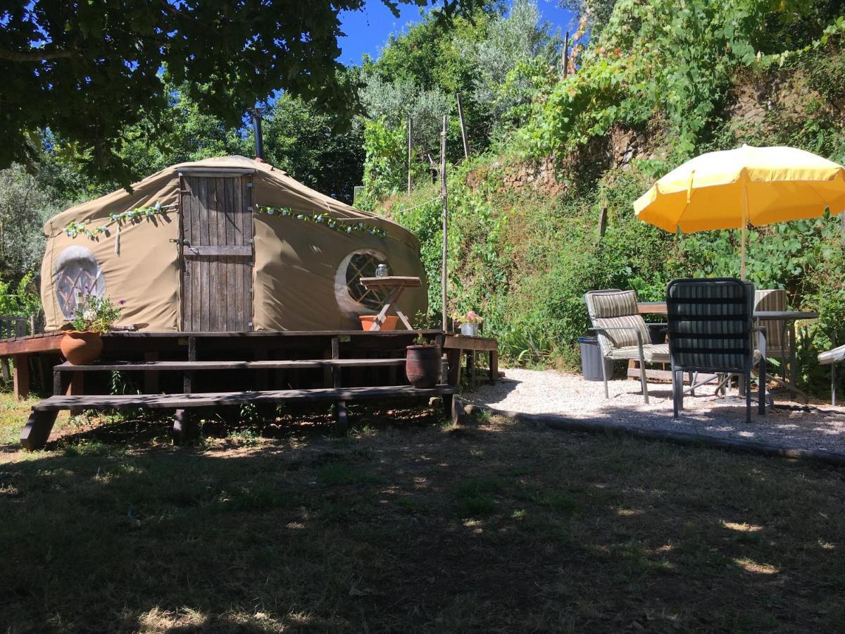 Star Gazing Luxury Yurt With River Views, Off Grid Eco Living Vale do Barco Zewnętrze zdjęcie