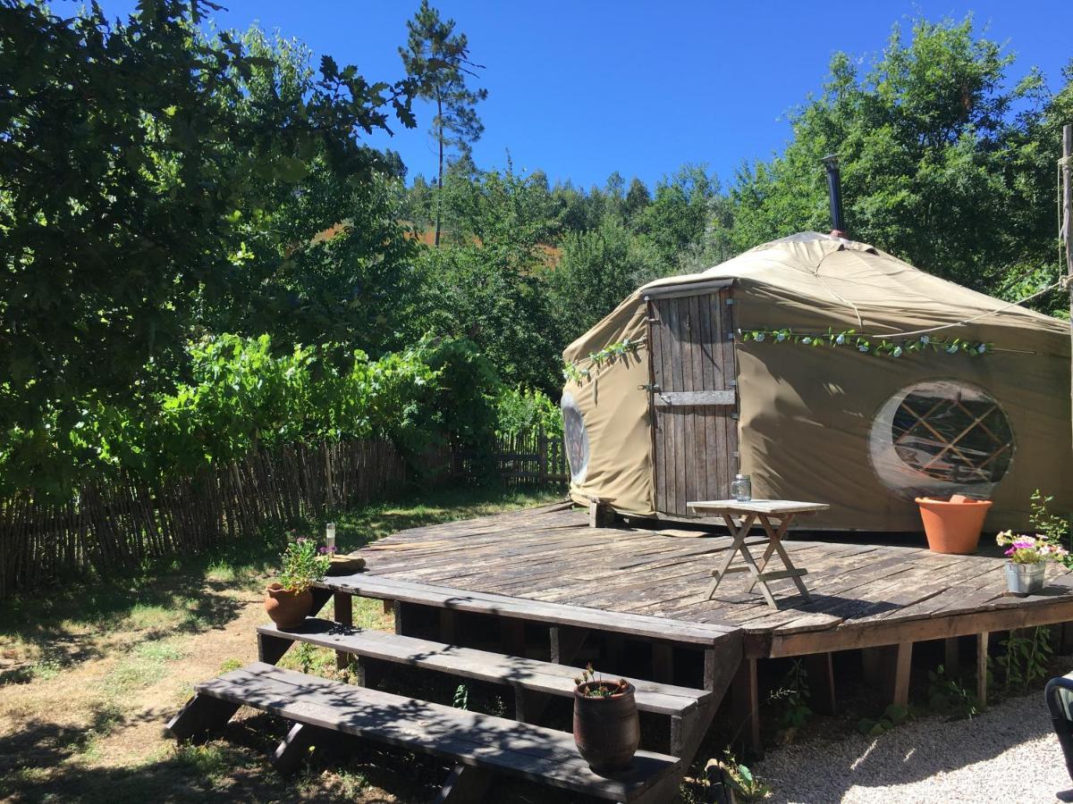 Star Gazing Luxury Yurt With River Views, Off Grid Eco Living Vale do Barco Zewnętrze zdjęcie