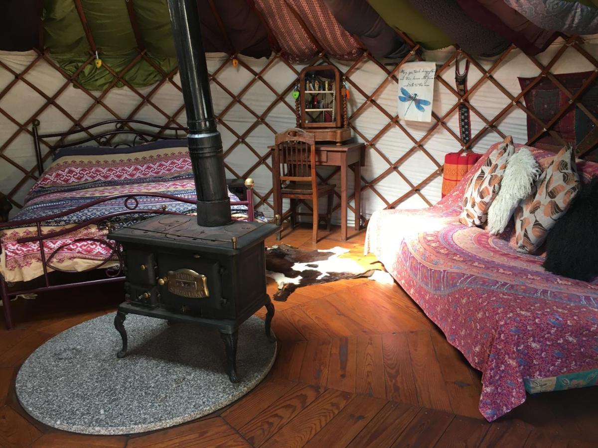 Star Gazing Luxury Yurt With River Views, Off Grid Eco Living Vale do Barco Zewnętrze zdjęcie