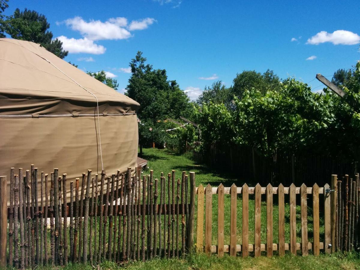 Star Gazing Luxury Yurt With River Views, Off Grid Eco Living Vale do Barco Zewnętrze zdjęcie